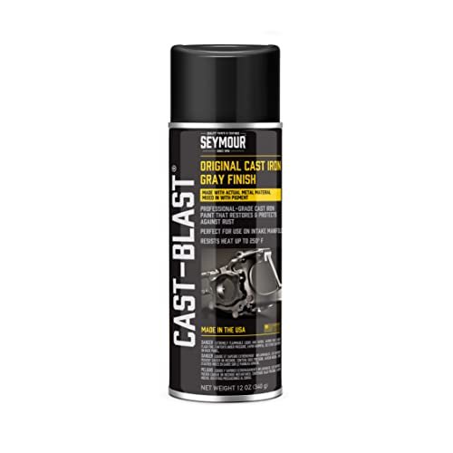 Seymour CA16-48 Cast Blast Spray Paint 12 Ounce Can
