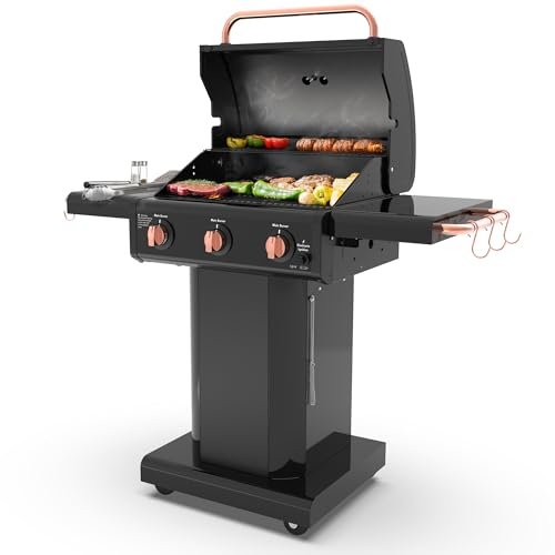 Kenmore 3-Burner Gas Grill | Foldable Side Tables, Cast Iron