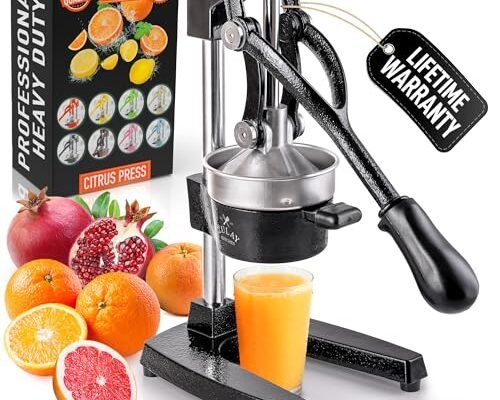 The Best Cast Iron Juicer - comprehensive buying guide and reviews
