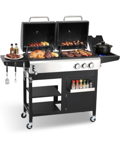 GRILL DEPOTS Propane Gas and Charcoal Combo Grill.