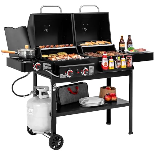 Grills House ZH3005 2-Burner Gas and Charcoal Combo Grill...