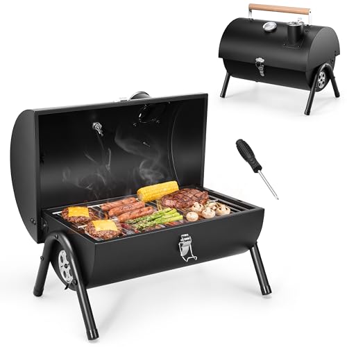 HaSteeL Portable Charcoal Grill for Outdoor Barbecue,...