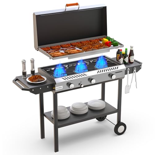 2-in-1 Propane Stove & Griddle Combo, 225,000 BTUs Steel