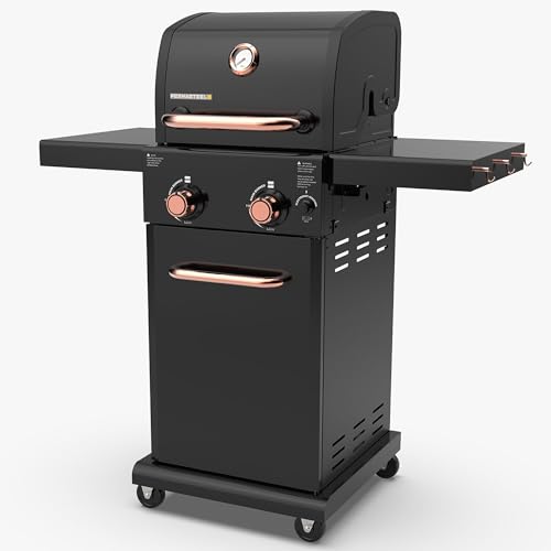 Permasteel 2-Burner Propane Gas Grill, BBQ Grill with...