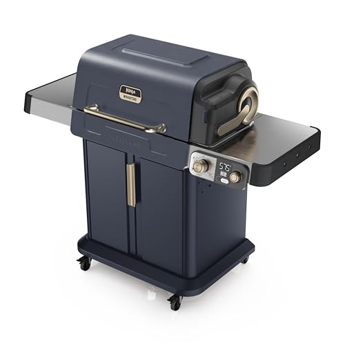 Ninja FlexFlame Grill & Smoker, Electric & Propane.