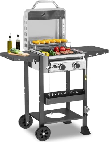 COWSAR 2-Burner Propane BBQ Grill 16000 BTU Stainless Steel