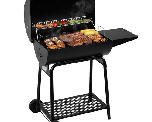 Best Bbq Grill on a Budget - comprehensive buying guide and reviews