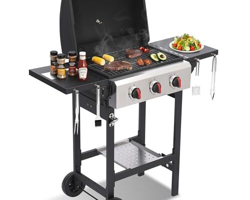 Best Budget Gas Grill - comprehensive buying guide and reviews