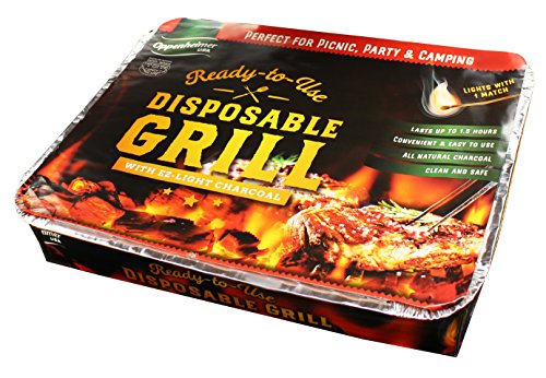 Best Grills on the Market - comprehensive buying guide and reviews