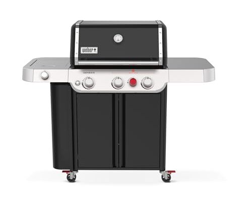 Best Lp Gas Grills - comprehensive buying guide and reviews