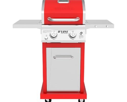 Best Two Burner Gas Grill - comprehensive buying guide and reviews