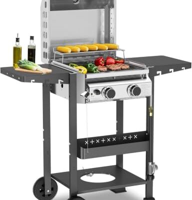 What Is the Best Gas Bbq Grill - comprehensive buying guide and reviews